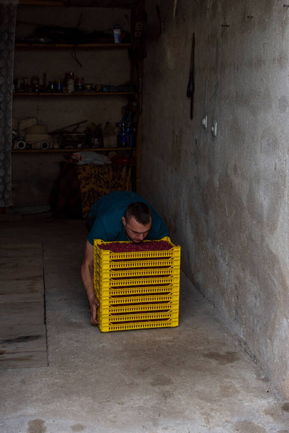 Przystojny pracownik trzymający w garażu skrzynie z malinami - Zdjęcie, obraz
