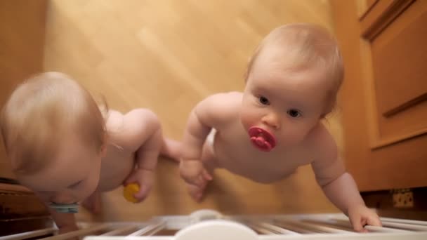 dos lindo bebé niña chico con chupete usando pañal pasar tiempo juntos en casa - Metraje, vídeo
