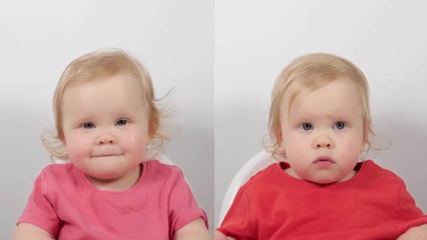 Retrato de dos niños pequeños y divertidos sentados en la silla de alimentación posando aislados en blanco medio primer plano - Metraje, vídeo