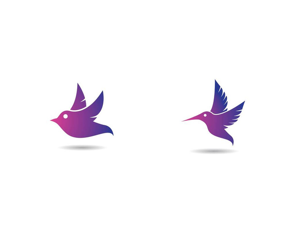 Modèle de logo Colibri icône vectorielle illustration design - Vecteur, image