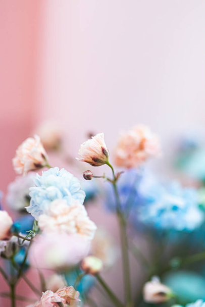 Квіти в саду, квіткова краса і ботанічний фон для весільних запрошень і вітальних листівок, концепція природи і навколишнього середовища
 - Фото, зображення