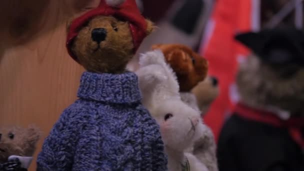 Close up de ursinhos Teddy  - Filmagem, Vídeo
