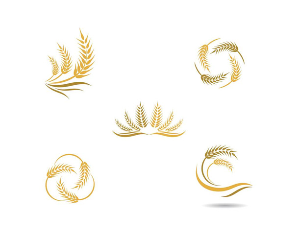 Tarım buğday logosu vektör ikonu tasarımı - Vektör, Görsel