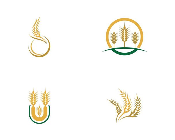 Agricultura trigo logotipo plantilla vector icono diseño  - Vector, Imagen