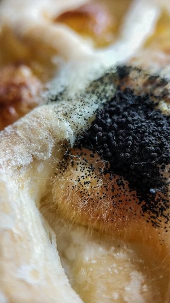 Fekete penész a pékségben. Nyálas kenyér. Aspergillus niger penész közelkép makró - Fotó, kép