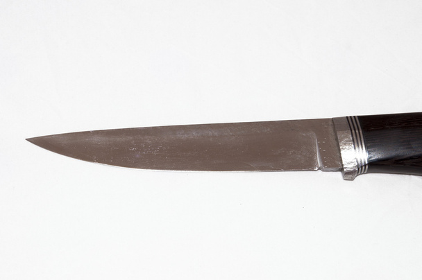 狩猟ナイフの刃 - 写真・画像