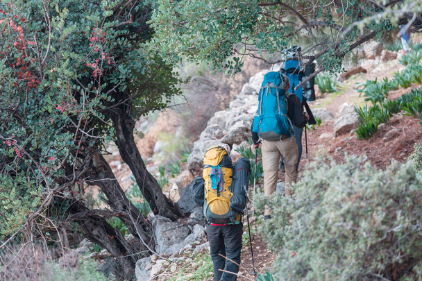 山の中でハイキングするバックパッカーのグループアウトドア活動的なライフスタイル旅行アドベンチャー休暇旅行の自由夏の風景ハイキングのコンセプト - 写真・画像