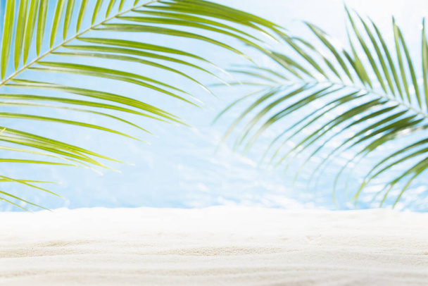 Blank summer tropical beach with green palm leaves as arch, white sand, sun glares in water and blue ocean view. Seaside landscape for presentation, design. - Foto, Imagen