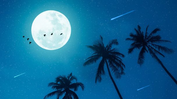 Tropical night. Full moon and star fall with palm leaf birds fly abstract background. Copy space of nature environment and travel adventure concept. Vintage tone filter effect color style. - Photo, Image