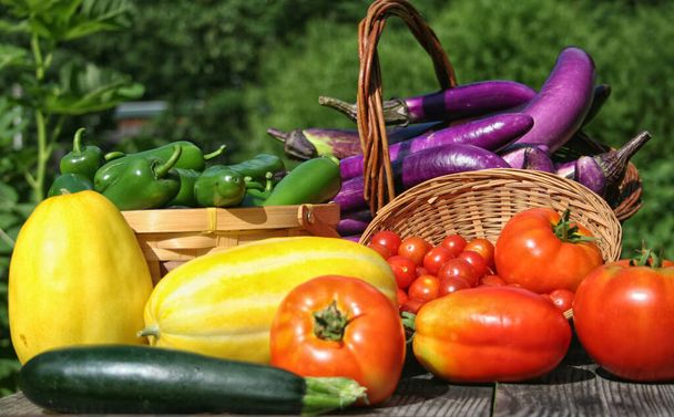 Summer Vegetable Harvest -Fresh Organic Tomato Eggplant and Zucchini - Valokuva, kuva
