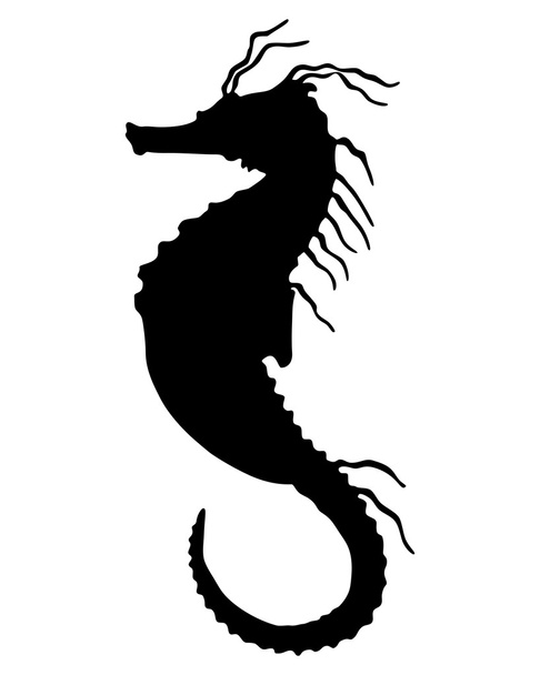 seahorse silhouet - Vector, afbeelding