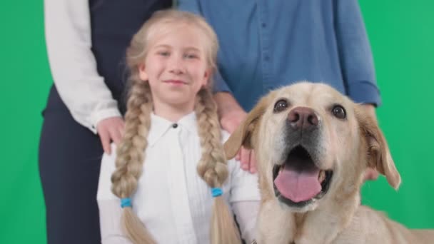 schattig labrador met familie van schattig meisje en man en vrouw op groene achtergrond close-up, chroom key - Video