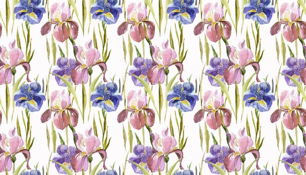 Irises seamless pattern - Foto, afbeelding