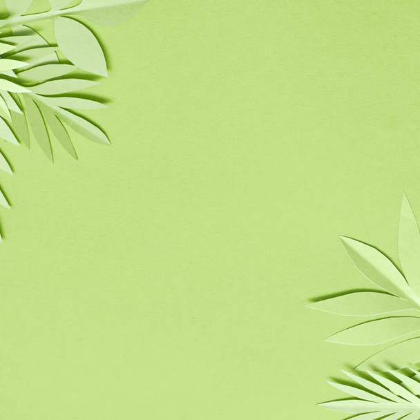 Летний фон с цветной бумагой тропических листьев. - Фото, изображение
