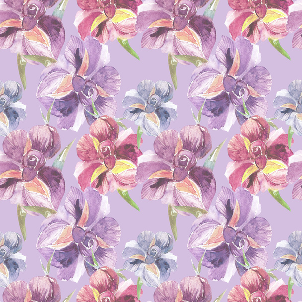 Irises pattern - Photo, Image