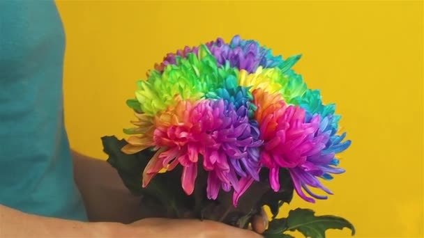 Caucasian man holding a bouquet of colored chrysanthemums. - Footage, Video