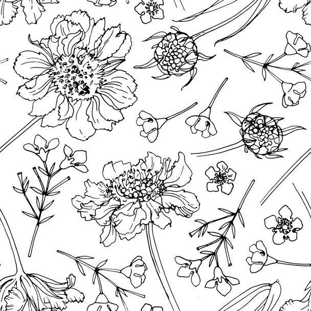 Flower pattern Vector sketch of flowers by line on a white background. - Vektori, kuva