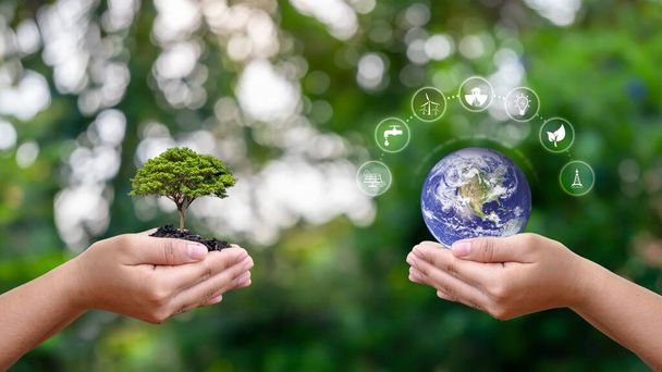 Planetenaustausch mit einem Symbol für saubere Energie in menschlicher Hand mit einem kleinen Baum in menschlicher Hand. Umweltschutzkonzept, Elemente dieses Bildes von der NASA. - Foto, Bild