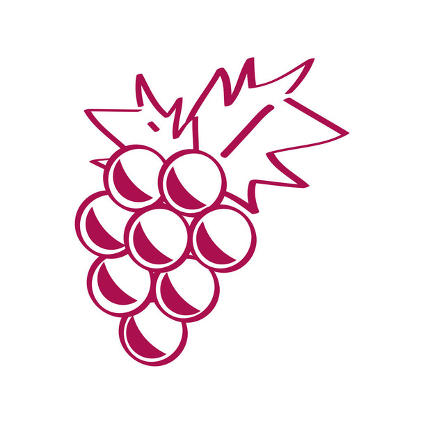 bunch grapes fruit - Vector, Image