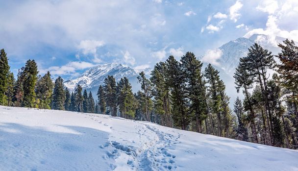 Beautiful view of pahalgam valley, Pahalgam, Kashmir, India - Foto, imagen