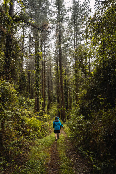 Two hikers in raincoats walking through a forest in the rain. Spring on the road from Ispaster to Lekeitio, landscapes of Bizkaia. Basque Country - Foto, imagen