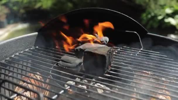 puuhiiltä arina vedenkeitin hiili grilli puutarhassa kesällä aurinkoinen päivä  - Materiaali, video