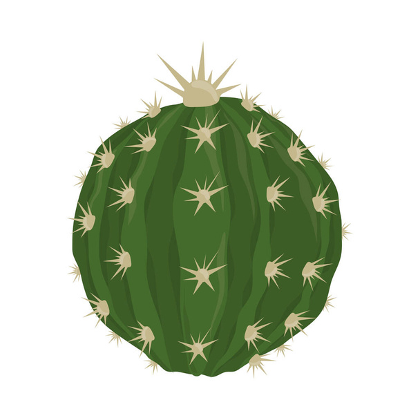 Природа кактуса - Вектор,изображение