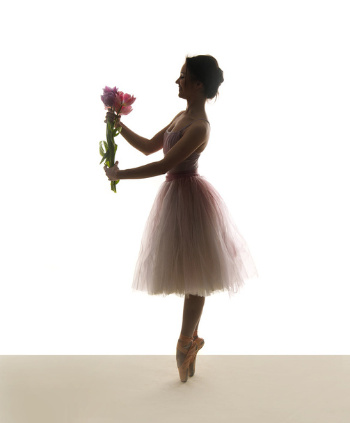 Ballet dancer - Photo, Image
