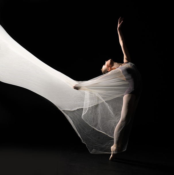 Ballet dancer - Foto, Imagen