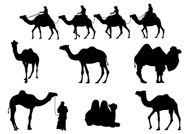 Siluetas de Camello y Caravana Aisladas sobre el Fondo Blanco - Vector, Imagen