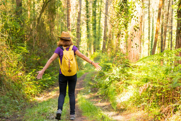 A young adventurer in a hat with a yellow backpack in the forest pines, hiker lifestyle concept, copy paste space, Basque Country forests. Spain - Foto, Imagem