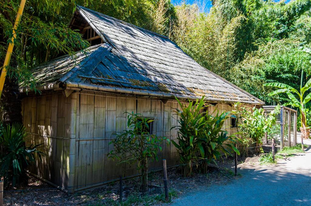 Bambusový dům nebo obydlí, které lze nalézt v asijských zemích. - Fotografie, Obrázek