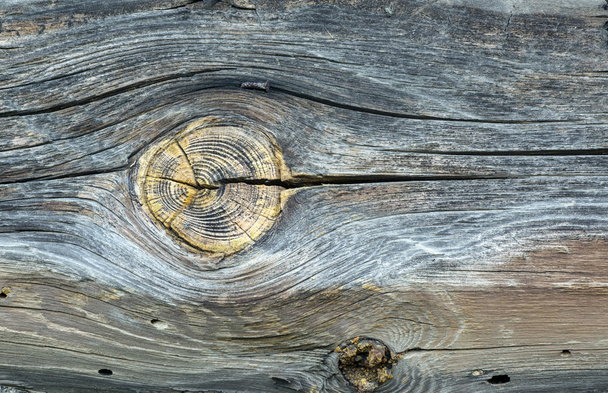 wood texture - Photo, image