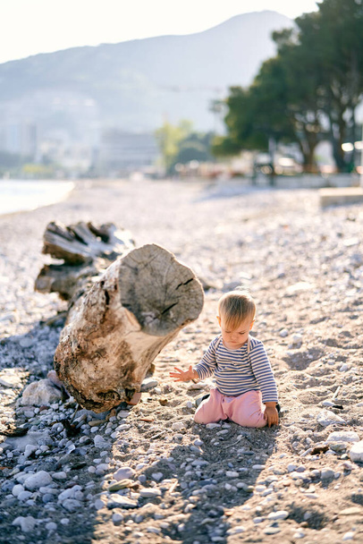 A gyerek egy kavicsos strandon üldögél az uszadékfa közelében. - Fotó, kép