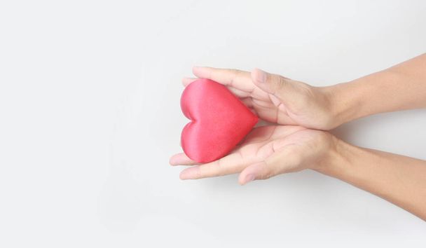 Hands holding a red heart. heart health donation concepts - Photo, Image