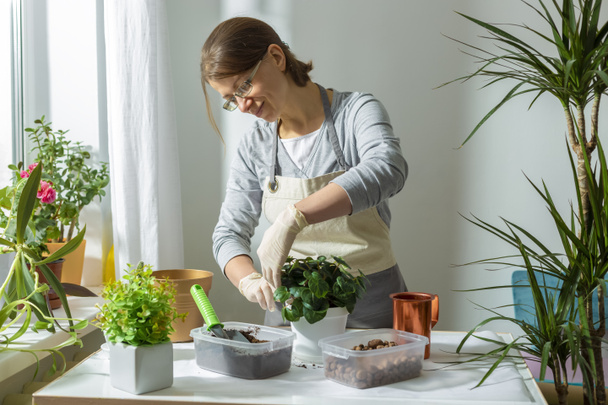 femme souriante en tablier et gants touchant plante en pot - Photo, image