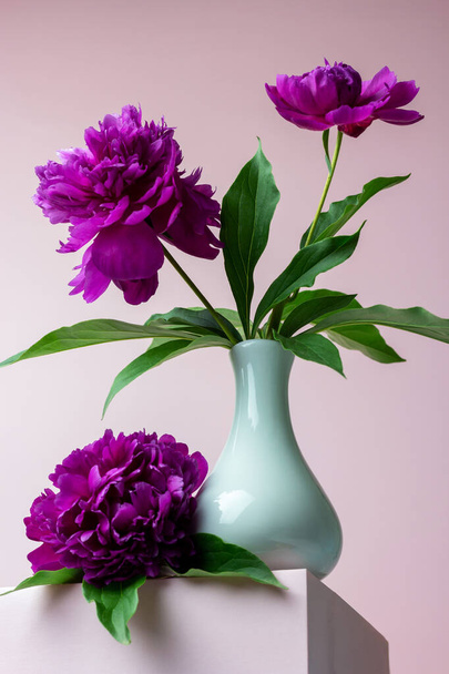 Vase with peonies flowers on a pink podium. Greeting card. Creative concept of still life. Banner, flyer, postcard with copy space. - Valokuva, kuva