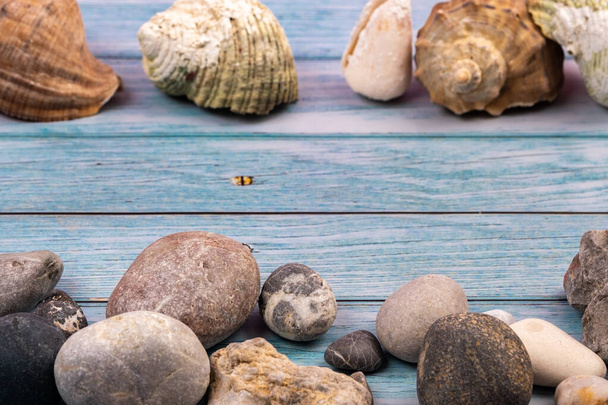 coconuts, rocks and shells on a blue wooden background.Marine theme. - Foto, afbeelding