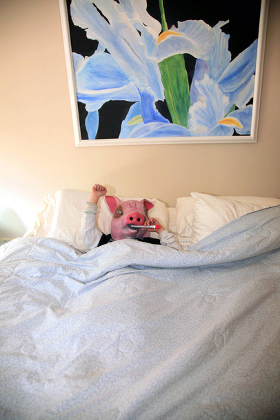 Cochon tient un grand thermomètre de cuisson représentant la pandémie de grippe porcine mexicaine. Cochon malade au lit avec la grippe porcine. Grippe porcine porcine H1N1.  - Photo, image