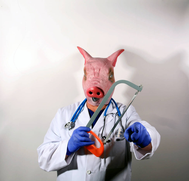 Docteur Cochon. Un Cochon porte un manteau de docteur et est prêt à vous examiner. Un médecin dans un masque de porc tient un grand thermomètre de cuisson représentant la pandémie de grippe porcine mexicaine. Docteur Cochon homme cauchemar.    - Photo, image