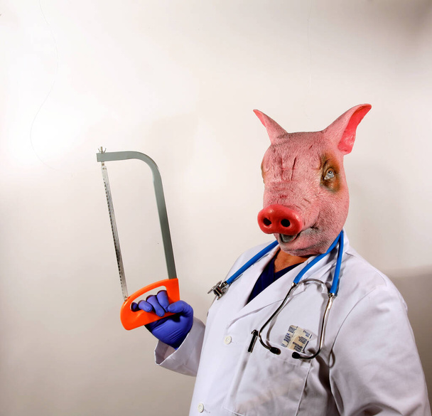 豚医師。豚男は医者のクロークを身に着けていて、あなたを調べる準備ができています。豚マスクの医師は、メキシコの豚インフルエンザ流行を表す大きな調理温度計を保持しています。ピッグ博士悪夢.    - 写真・画像