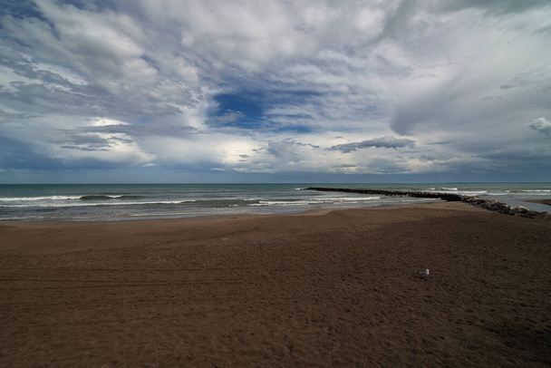 Lonely sandy beach with seagulls - Фото, изображение