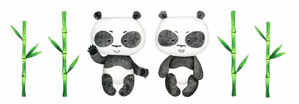 Bebê panda e verde bambu aquarela ilustração isolada no fundo branco. Clipart bonito do urso panda. Ramos de bambu e folhas clip art. - Foto, Imagem