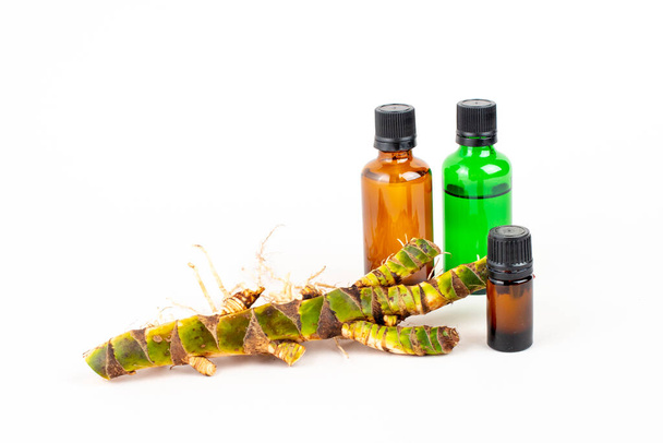 Fresh Acorus calamus roots, also known as sweet flag, and bottles with oil and extract isolated on light background. Calamus root is used in personal care products. Beauty and medicine. - Photo, Image
