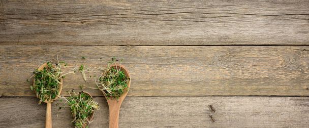 green sprouts of chia, arugula and mustard in a wooden spoon on a gray background from old gray boards, top view. Useful supplement for food containing vitamins C, E and K, copy space - 写真・画像