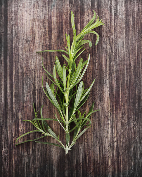 Branch Of Rosemary - Photo, image