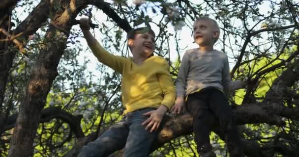 Twee kinderen van een vriend zitten op de boom en lachen. Kinderen klommen in de boom en zitten op tak. - Video