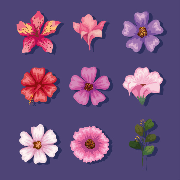 колекція іконок квітів
 - Вектор, зображення