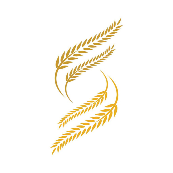 Дизайн логотипа пшеницы - Вектор,изображение