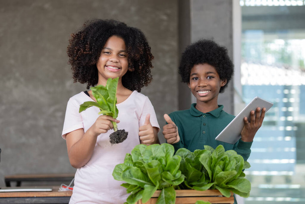 Un garçon et une fille aux cheveux bouclés noirs discutent de la vente de légumes en ligne.petite entreprise, démarrage. - Photo, image